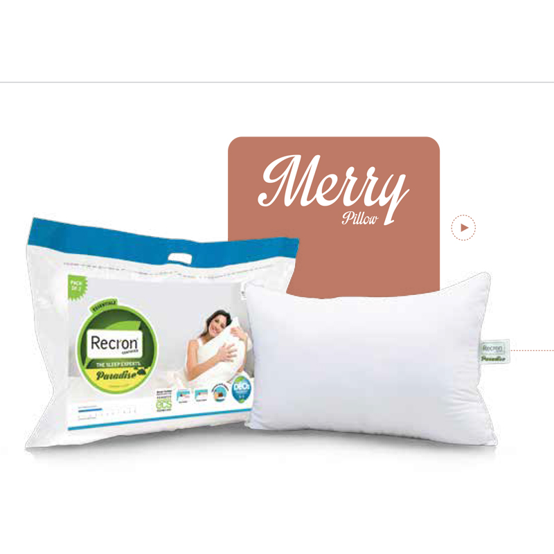 Merry Pillow & Cover